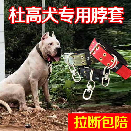 杜高犬专用双排加厚颈圈脖套宠物项圈大狗脖圈狗链不锈钢8字转环