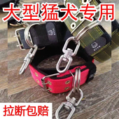 双排加厚颈圈脖套宠物项圈大狗脖圈狗链不锈钢8字转环防绕颈结实