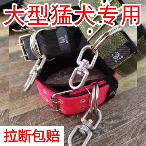双排加厚颈圈脖套宠物项圈大狗脖圈狗链不锈钢8字转环防绕颈结实