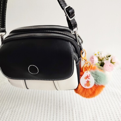 高级感小众水果毛球包挂件