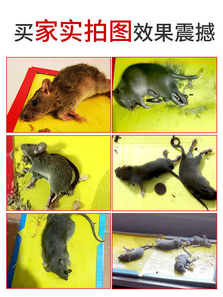 BIG MOUSE CLIP MOUSE TRAP MOUSE STICKER SUPER STRONG STICKY MOUSE BOARD GENUINE CATCH REPELLENT MOUSE CATCH HOUSEHOLD INDOOR RAT EXTERMINATION ARTIFACT