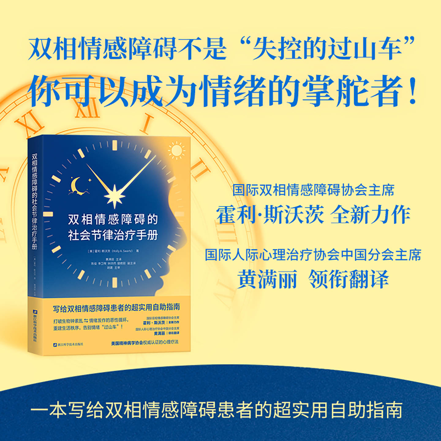 双相情感障碍的社会节律治疗手册 写给双相情感障碍患者的超实用自助指南 双相情感障碍50+简单易操作的小练习用科学方法驯服情绪