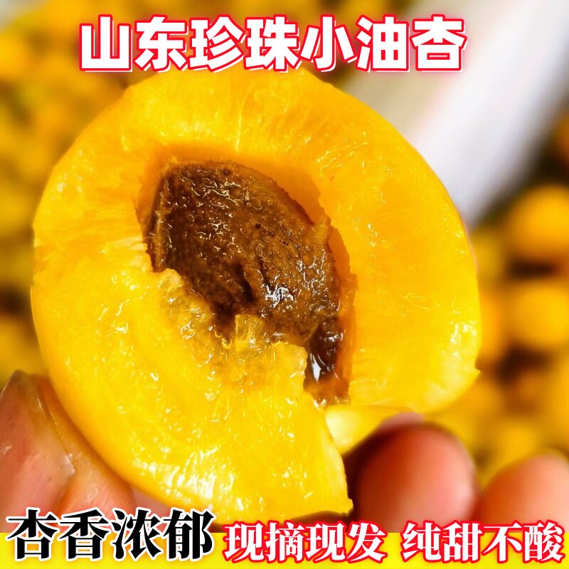 珍珠小油杏新鲜水果山东蒙阴小白杏应季纯甜无酸整箱包邮孕妇宝宝