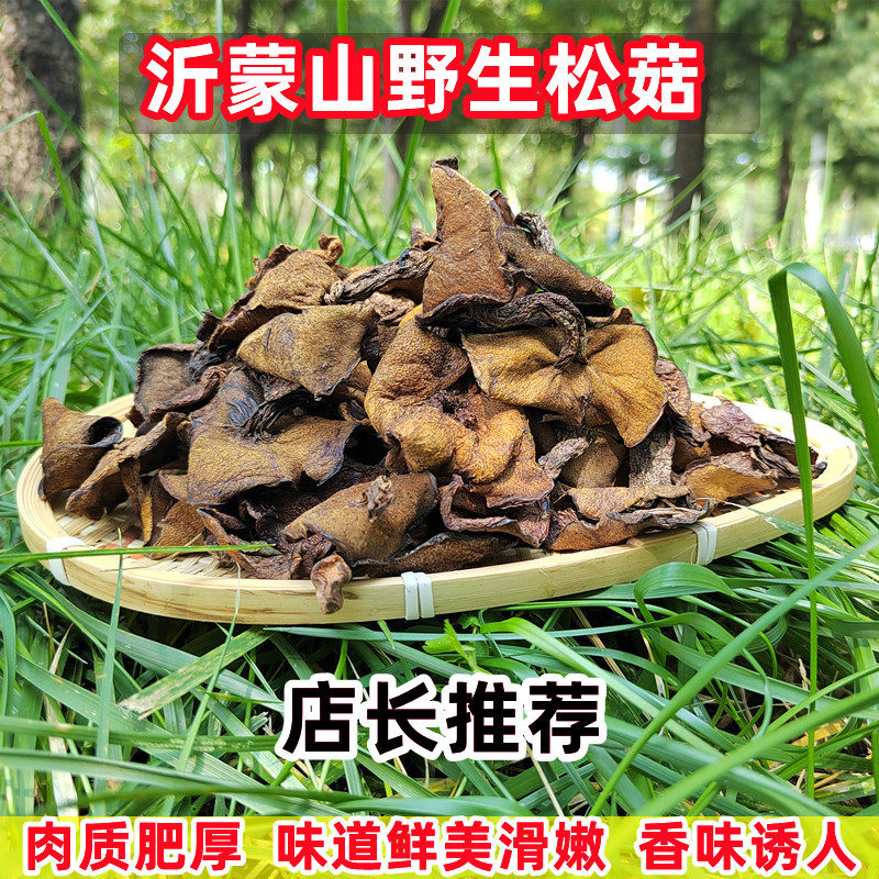 沂蒙山野生松蘑菇特产干货炖鸡菌菇香菇食材粘团子山东松菇松蛾子