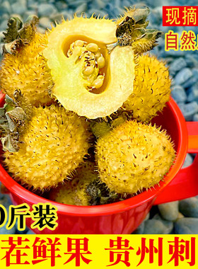 新货贵州刺梨鲜果打汁泡酒10斤