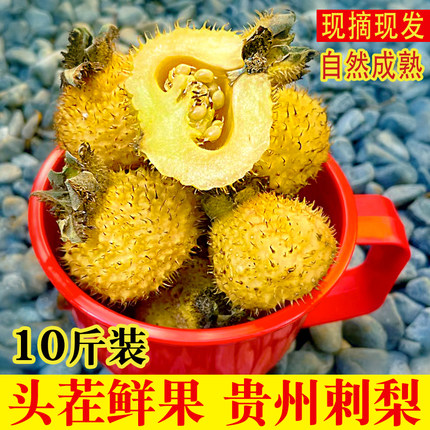 贵州刺梨鲜果10斤新鲜刺梨打汁泡酒特产现摘当季非野生泡水茨梨果