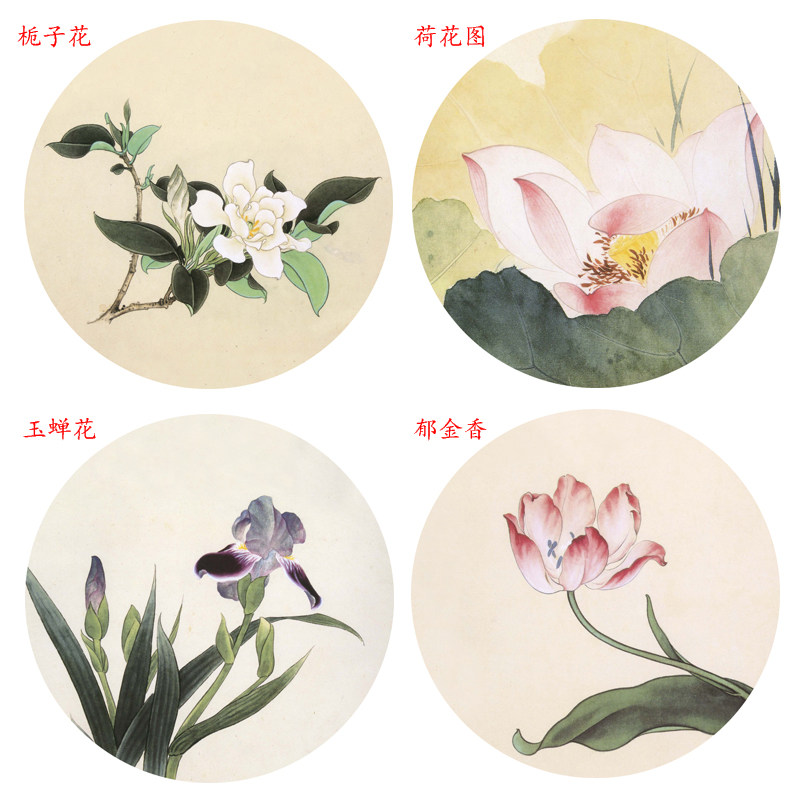 工笔画圆形花卉团扇4幅初学者线描稿白描底稿勾线实物打印稿yy02