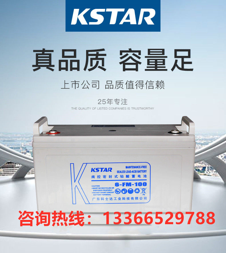 科士达蓄电池12V100AH6-FM-100
