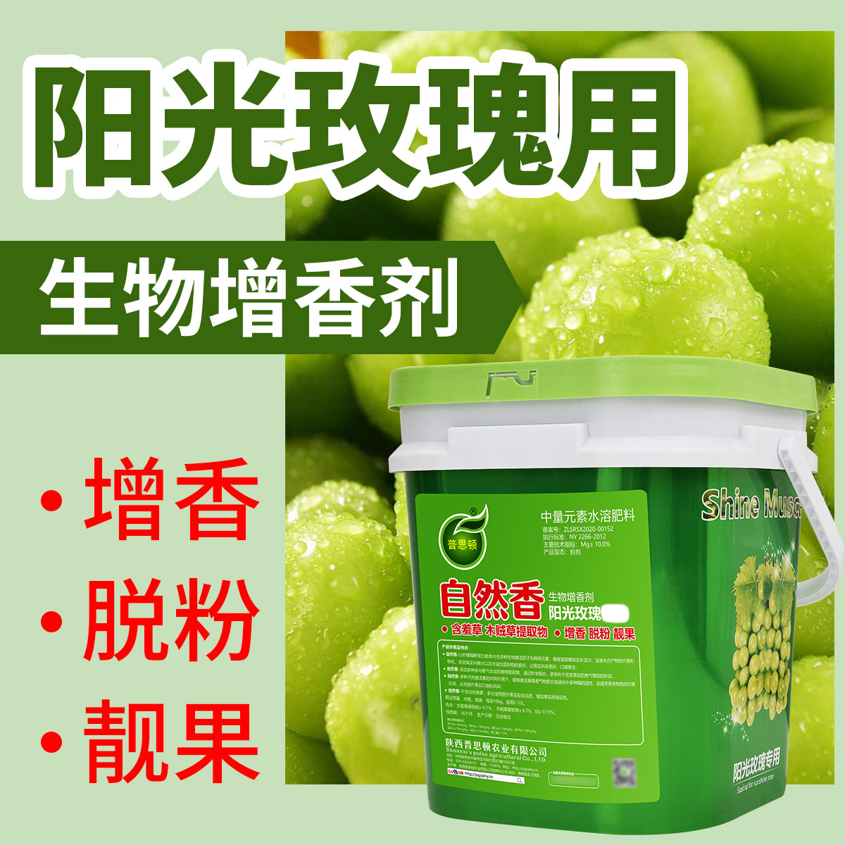 添香升级版桶装阳光玫瑰增香增糖