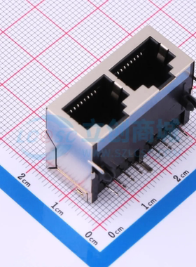 DS1129-05-S80BP-X -[原装以太网连接器(RJ45 RJ11)插件