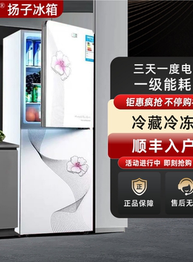 扬子电气YZR一级节能小冰箱家用小型宿舍租房用办公室双门电冰箱