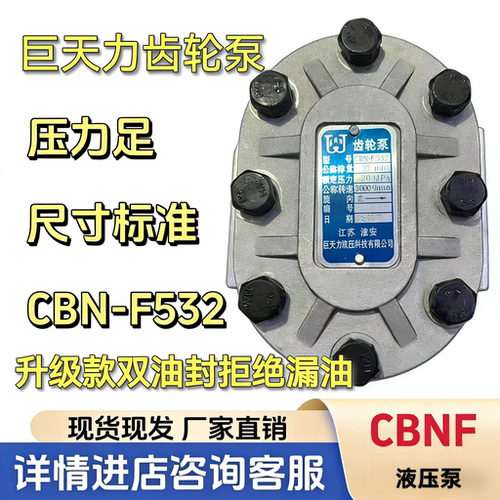 液压齿轮泵巨天力船用cbnf532