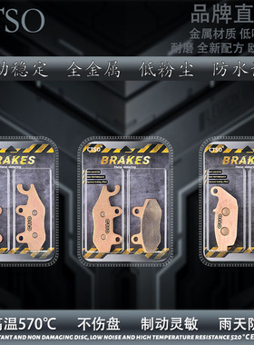 CTSO金属刹车片适用大运PTG200X PTG300X 拉力摩托车烧结碟刹片