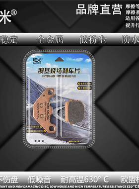 适用标致踏板摩托车Vivacity125都市版罗兰加洛斯版金属碟刹片