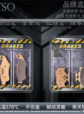 CTSO烧结金属刹车片适用大眼DR-Z250K 01-07年/DR650 1996-2021年