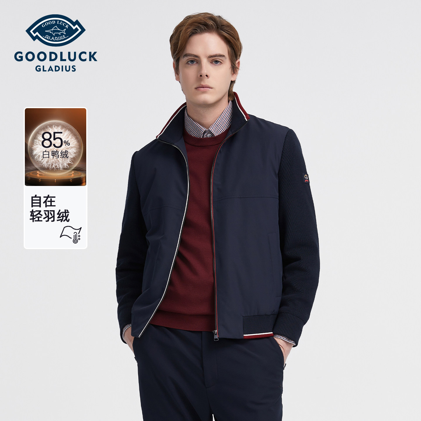 【白鸭绒】德鲨男装短款立领羽绒服2025冬款拼接保暖外套