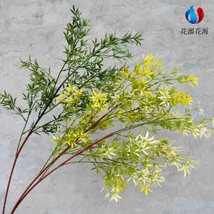 仿真植物星星草婚庆摄影道具摆件家居假树叶绿植仿真蕨类植物