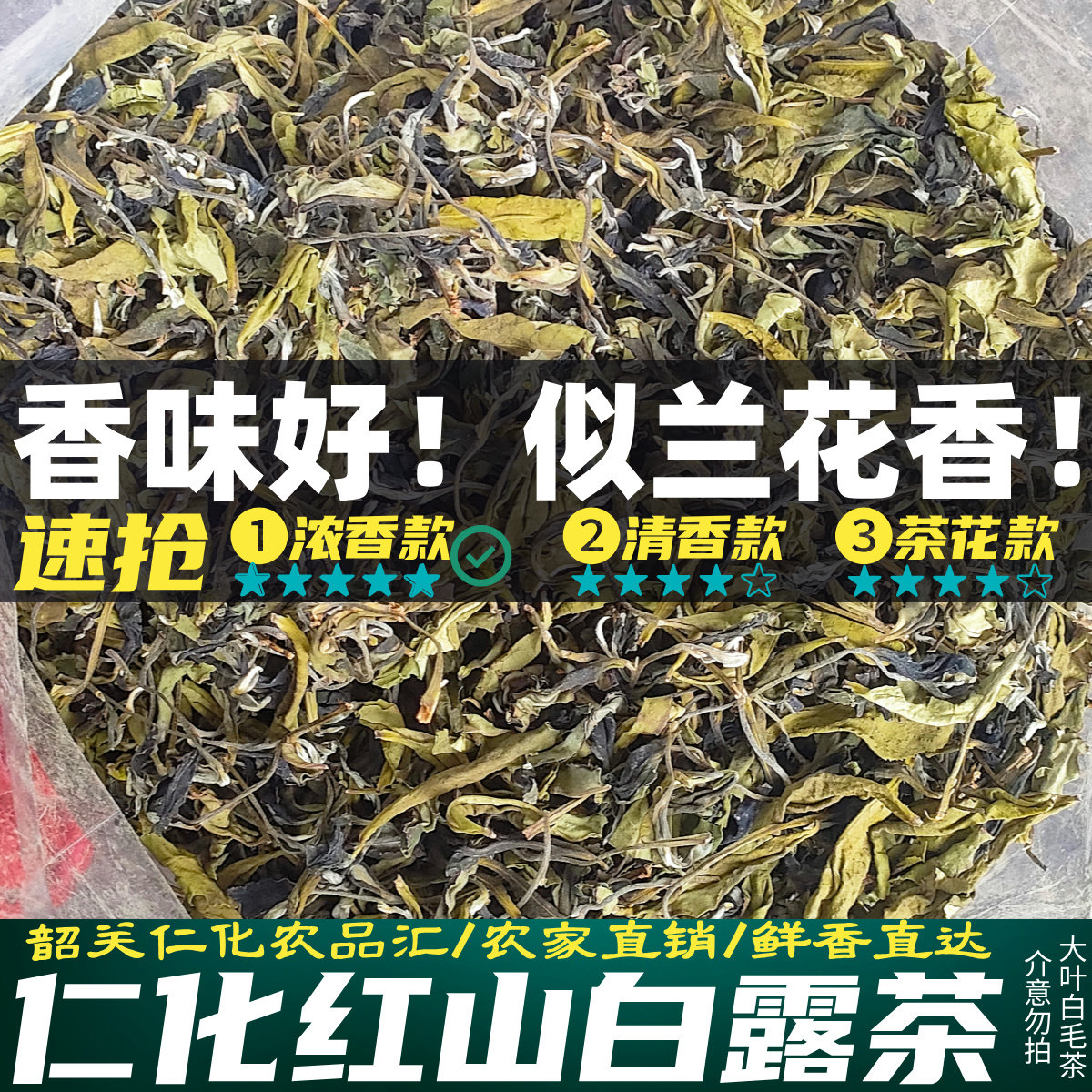 新茶兰花香白露茶韶关白毛茶仁化白毛茶红山茶花茶味浓耐泡口粮茶