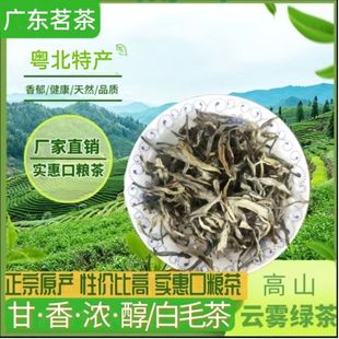2025新茶韶关白毛茶仁化清明后春茶口粮茶原生态纯香回甘耐泡散茶