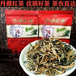 【特级丹霞红茶】仁化白毛茶白毛尖广东韶关丹霞养胃金豪茶农直达