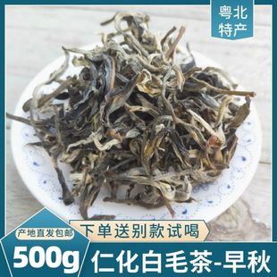 广东韶关仁化白毛茶毛尖茶高山茶云雾绿茶刮油脂耐泡茶农直发包邮
