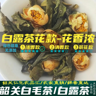 新茶兰花香白露茶韶关白毛茶仁化白毛茶红山茶花茶味浓耐泡口粮茶