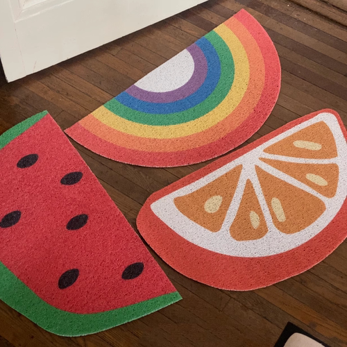 入户门地垫进门口新款免打理网红