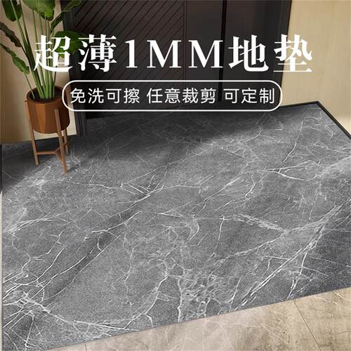超薄1mm入户门地垫防滑地毯