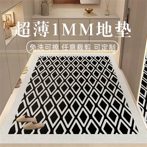 超薄1mm入户门地垫可擦洗地毯