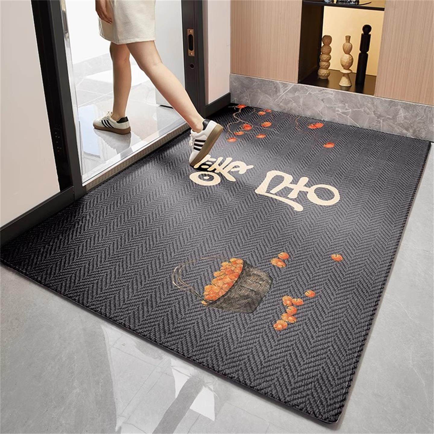 2025新款入户门地垫轻奢高级感进门防滑脚垫家用玄关门厅耐磨地毯,居家布艺,入户地垫,淘宝优惠券,粉丝福利购,淘宝优惠卷