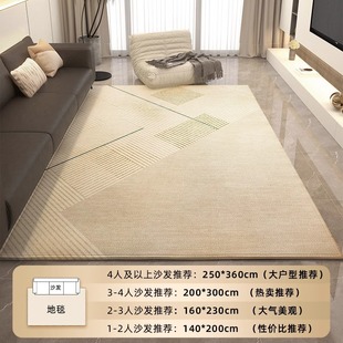 2025新款客厅地毯家用高级轻奢沙发茶几毯网红极简风卧室进门地垫