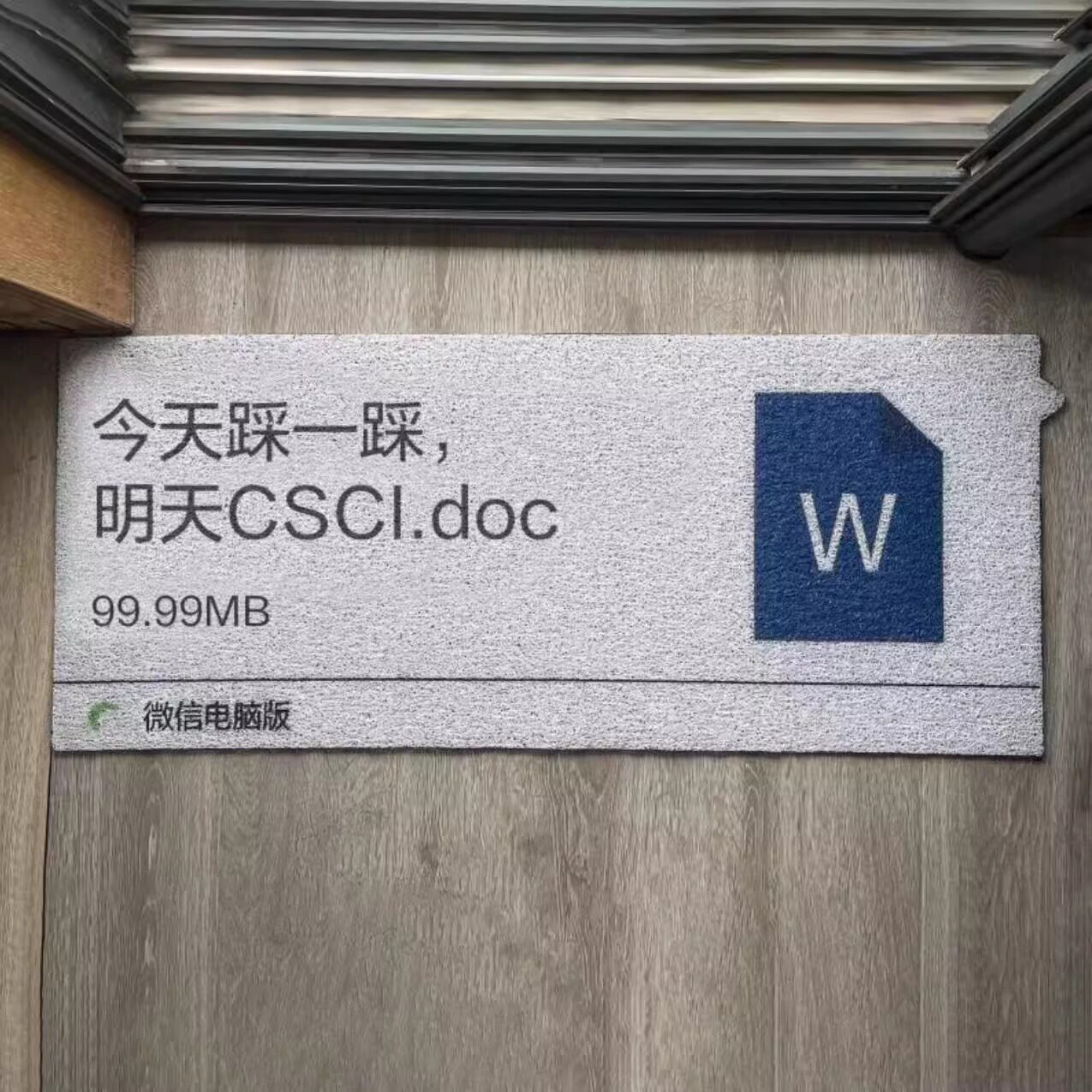 入户丝圈地垫进门防滑耐脏脚垫子