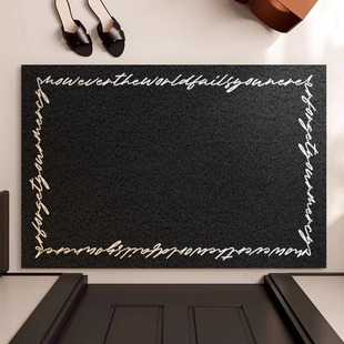 入户门丝圈地垫新款 进门玄关防滑耐脏耐磨蹭土脚垫可裁剪天津地毯