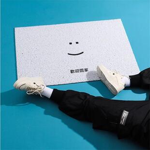 入户门丝圈地垫简约黑白进门玄关垫家用防滑耐脏刮泥脚垫天津地毯