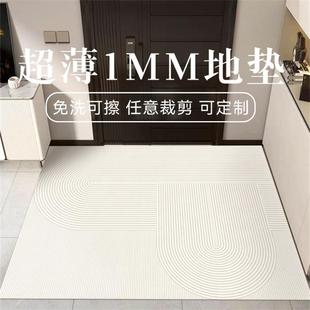 极薄1mm入户门地垫简约高级感PVC可剪裁免洗脚垫进门口不卡门地毯