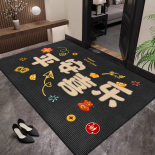 轻奢高级感入户门脚垫进门玄关地垫家用耐脏防滑除尘地毯2025新款