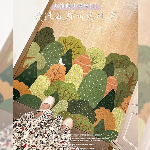 丝圈地垫入户门垫防滑家用脚垫子