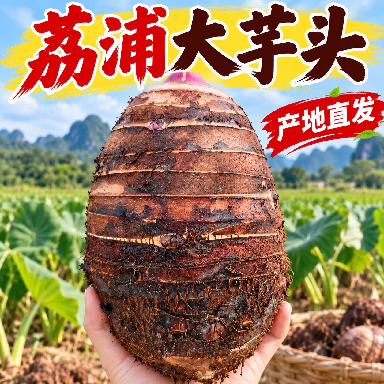 正宗荔浦芋广西特产10斤产地直发新鲜现挖槟榔芋香软粉糯香芋头