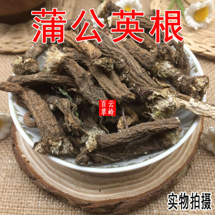 云南野生中药材蒲公英根纯天然整棵蒲公英根 包邮