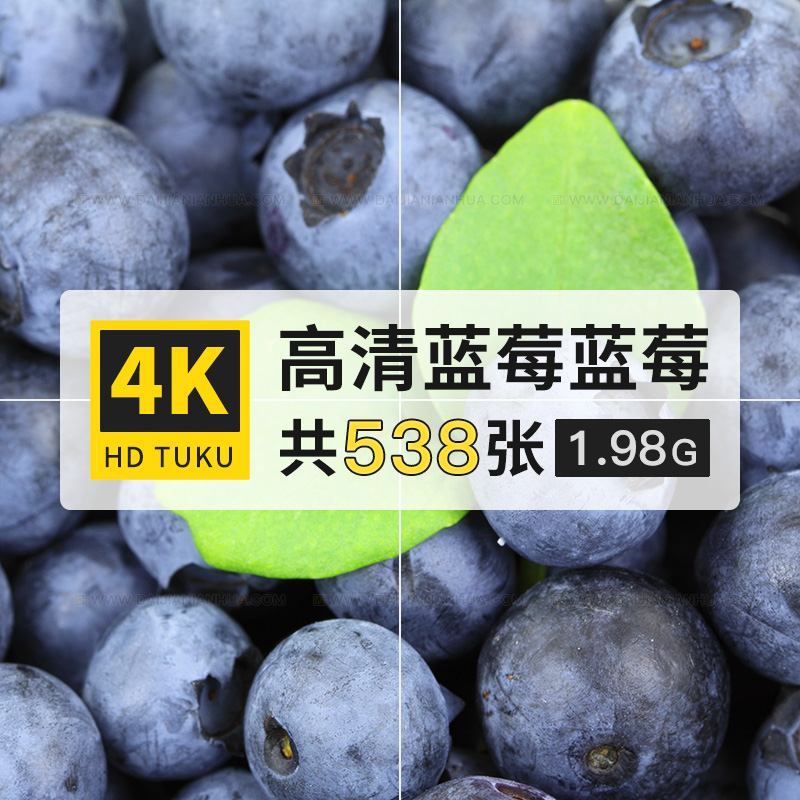 蓝莓笃斯笃柿浆果水果大图4K高清电脑图片壁纸ps海报设计jpg素材