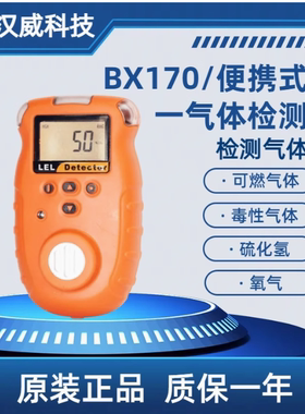 汉威BX170便携式单一气体探测器氧气可燃硫化氢有毒气浓度检测仪