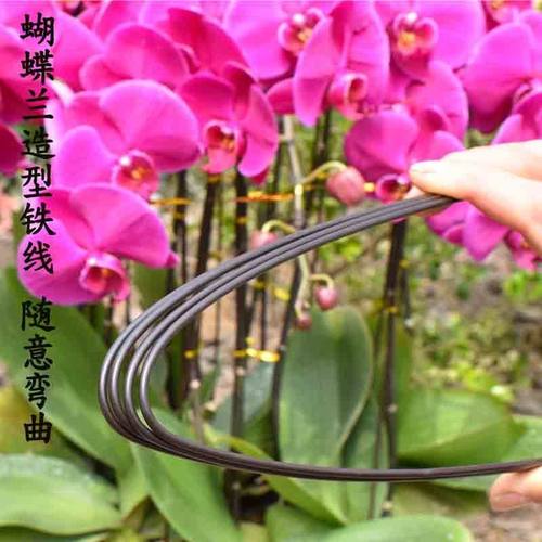 蝴蝶兰支架花架支撑杆