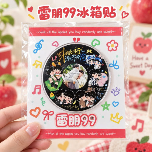 雷朋CP磁吸装饰冰箱贴