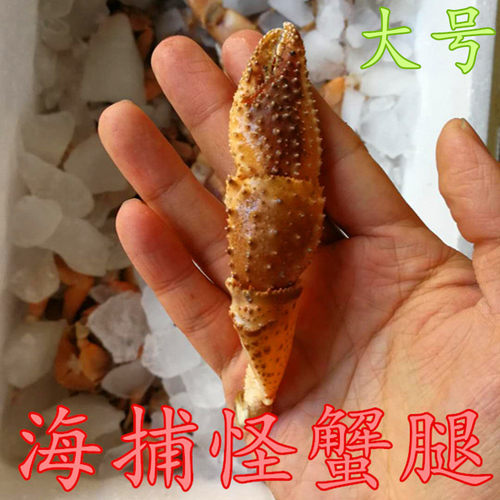 【搜鱼】青岛新鲜寄居蟹蟹钳寄居蟹腿海怪腿大号蟹腿怪腿