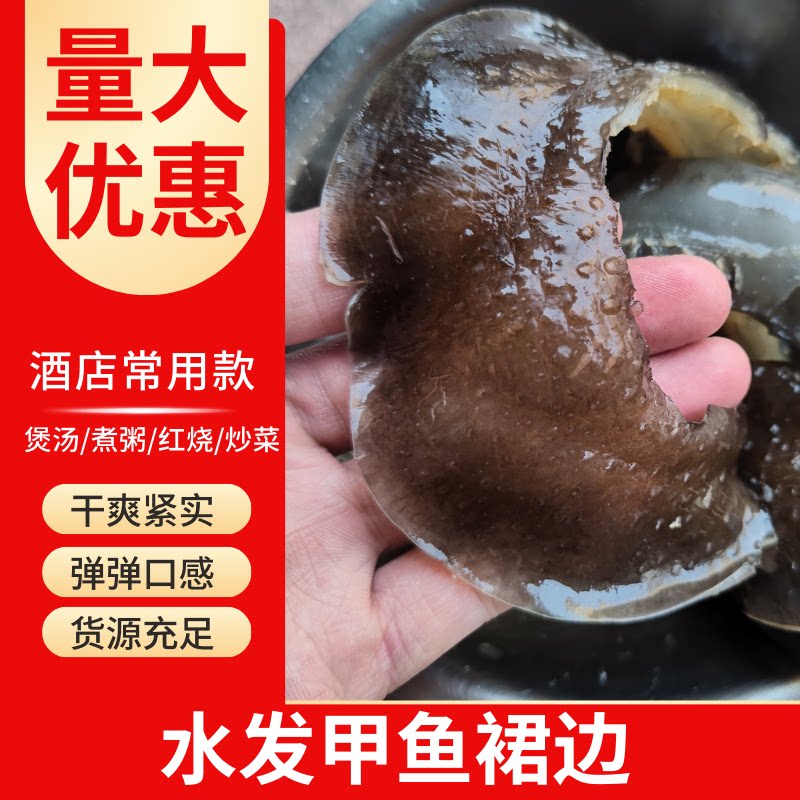 甲鱼裙边汉寿甲鱼红烧焖煮水发