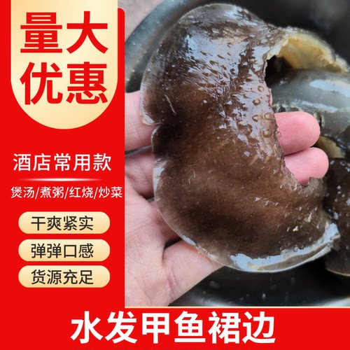 甲鱼裙边汉寿甲鱼红烧焖煮水发