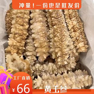 野生海参即食北海黄玉参3－5只 /500g  无需泡发解冻即食超大肥厚