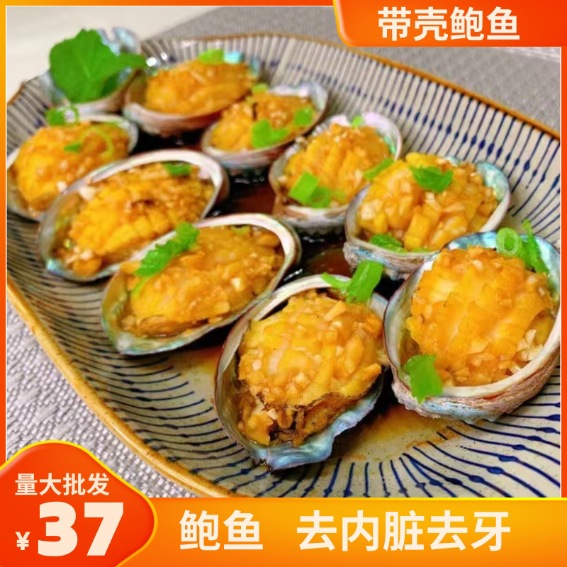 鲍鱼肉鲜活冷冻去牙带壳新鲜活鲍现剥去内脏火锅食材捞饭汁海鲜