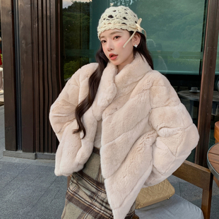 千金兔/大姐姐立领獭兔毛整皮毛毛皮草外套女显瘦2026年轻显瘦新