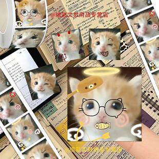 【死对头小猫】2000贴爆款可爱表情猫meme萌宠卷卷贴手账桌面贴画